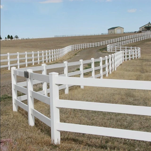 image003