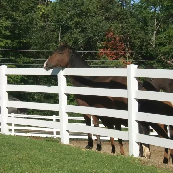 4-rail-vinyl-ranch-post-and-rail-horse-fence_horses_1_