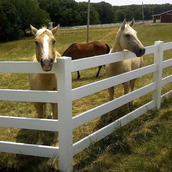 4 Rail Vinyl Ranch Rail Fencing